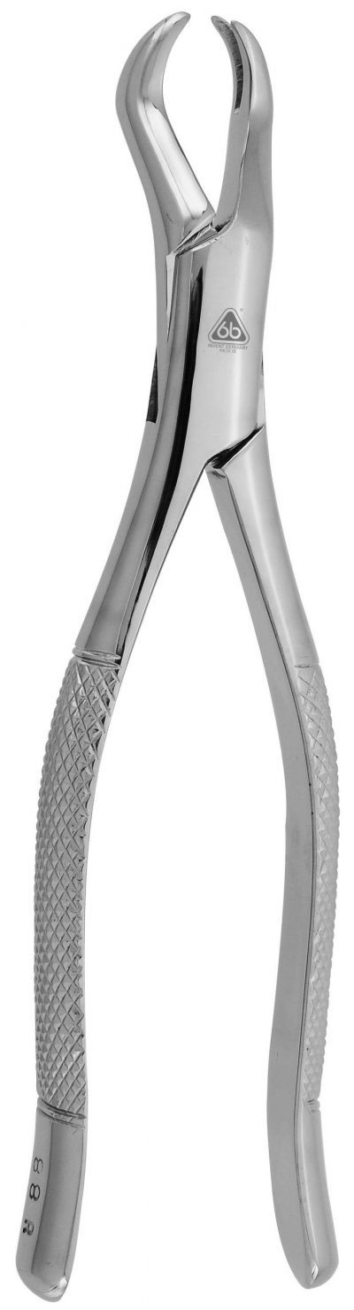 FORCEP ADULTO 88R