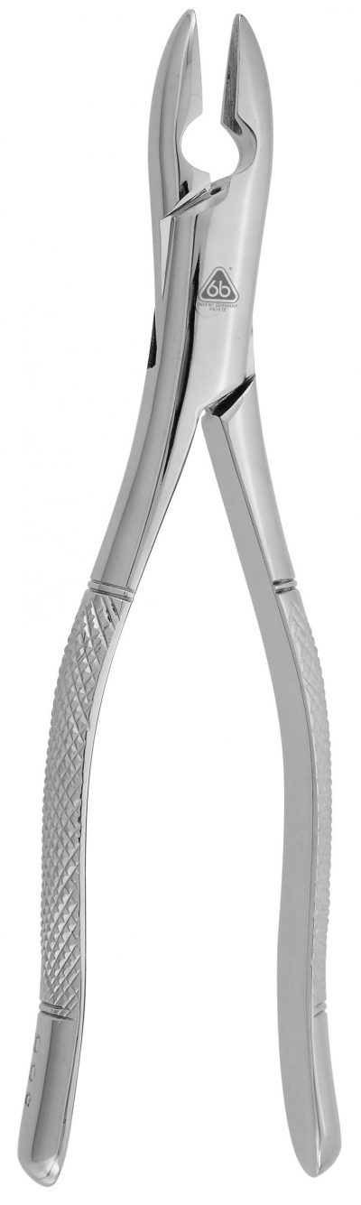 FORCEP ADULTO 99C