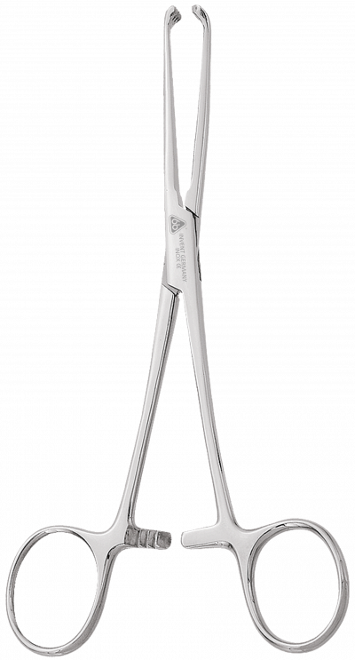 PINZA ALLIS PARA ENCIA 15.5 CM