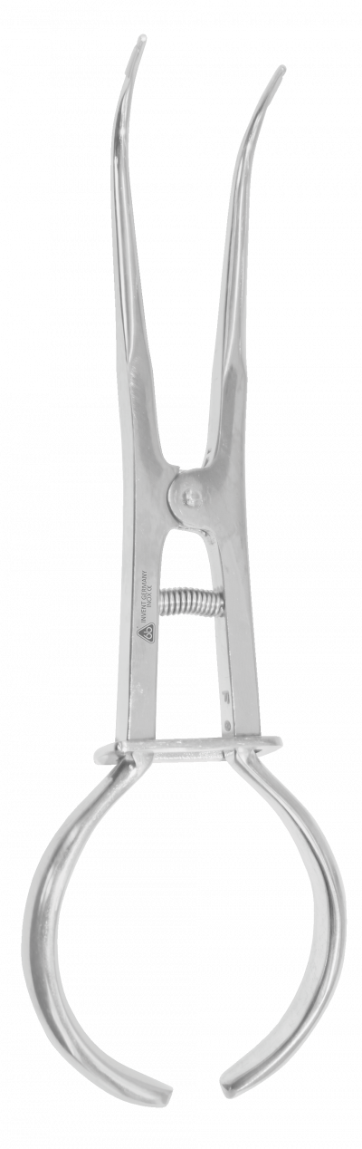 PORTA GRAPA TIPO WASHINGTON 17.5CM