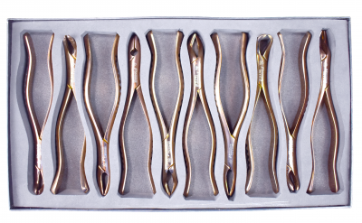 ESTUCHE DE FORCEPS 10 PZAS DORADO
