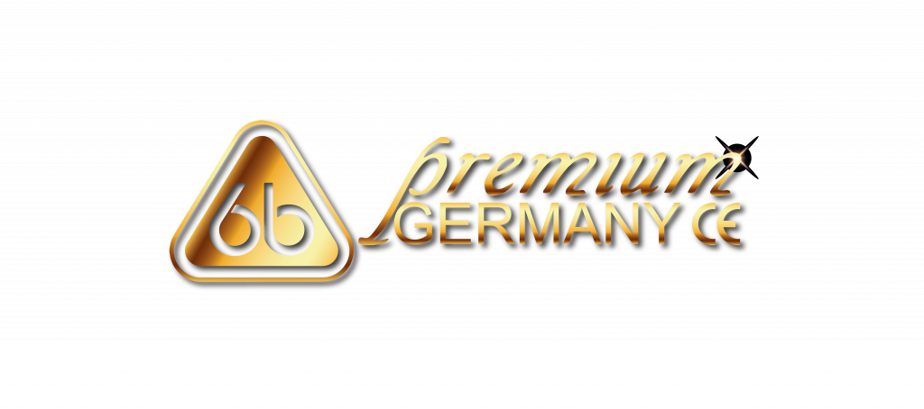 Logo Premium
